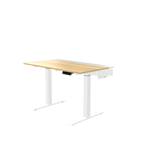 DEZCTOP-Bifrost Pro 120 電動升降桌 - Fin Shop Taiwan