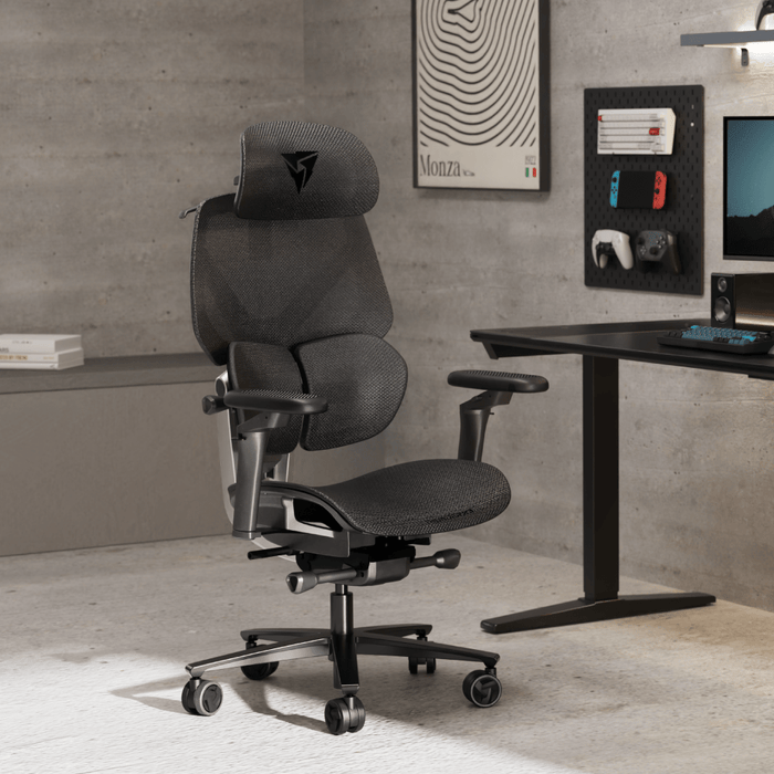 TX3 - FLEX PRO - 人體工學辦公椅 - Fin Shop Taiwan