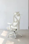 【新品上市】COFO Chair Pro2 人體工學椅 (3色)