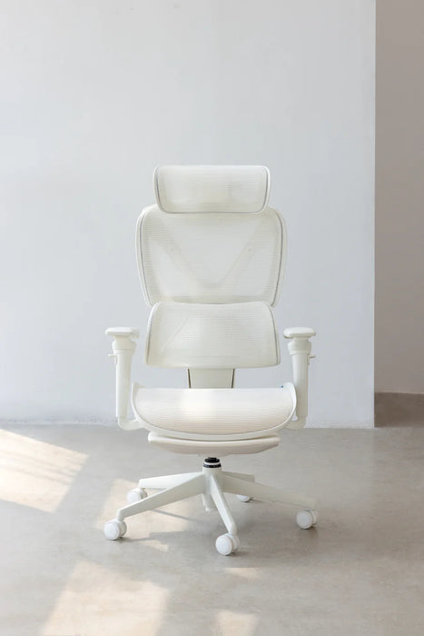 【新品上市】COFO Chair Pro2 人體工學椅 (3色)