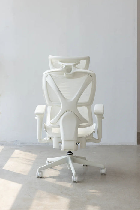 【新品上市】COFO Chair Pro2 人體工學椅 (3色)