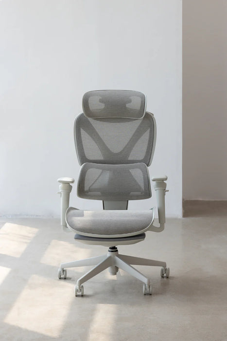 【新品上市】COFO Chair Pro2 人體工學椅 (3色)