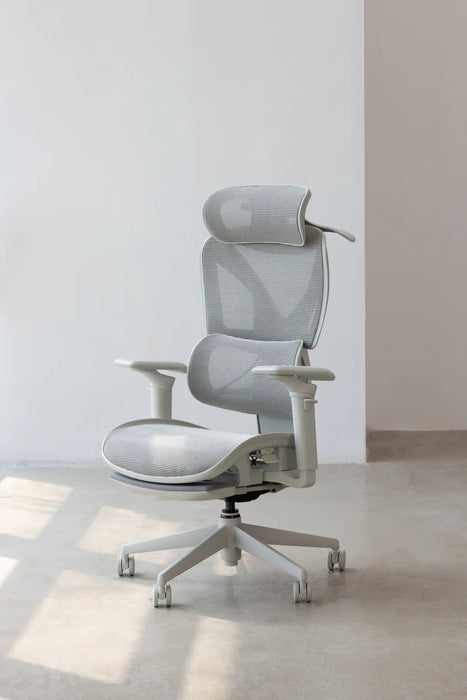 【新品上市】COFO Chair Pro2 人體工學椅 (3色)