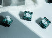 Gateron 磁玉 • 引 8顆/袋 - Fin Shop