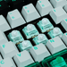 Gateron 磁玉靜音軸 8顆/袋 - Fin Shop