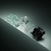 Gateron 磁玉 • 引 8顆/袋 - Fin Shop