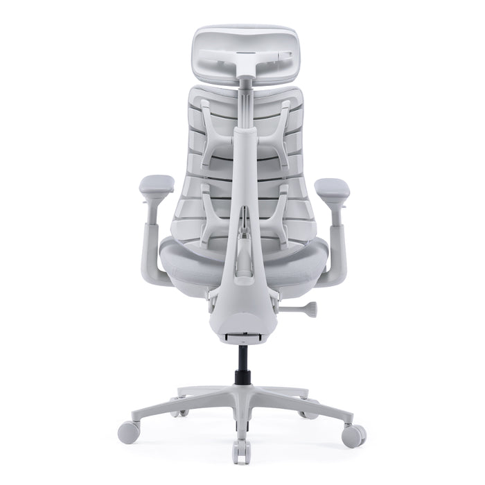 【新品上市】LiberNovo Omni Pro動態人體工學椅【共兩色】