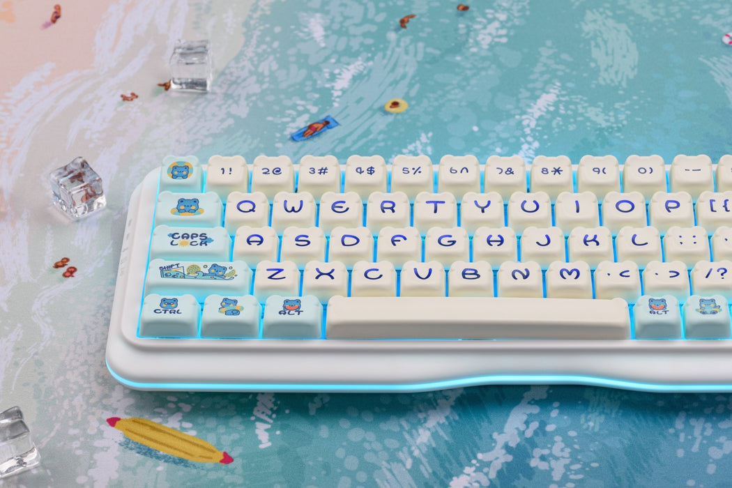 【新品上市】OSHID 熊頭雙色鍵帽組 Dual-Color Bear Head Keycaps - Fin Shop