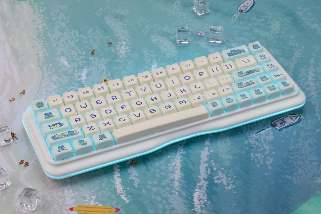 【新品上市】OSHID 熊頭雙色鍵帽組 Dual-Color Bear Head Keycaps - Fin Shop