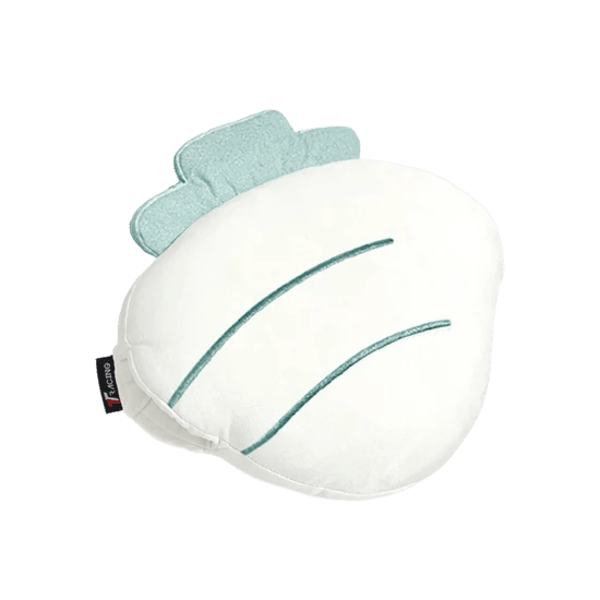 【新品上市】TTRacing 抱枕 (共兩款) (熱銷預購中，預計11月中陸續出貨) - Fin Shop