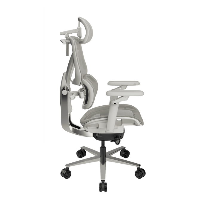 TX3 - FLEX PRO - 人體工學辦公椅 - Fin Shop Taiwan