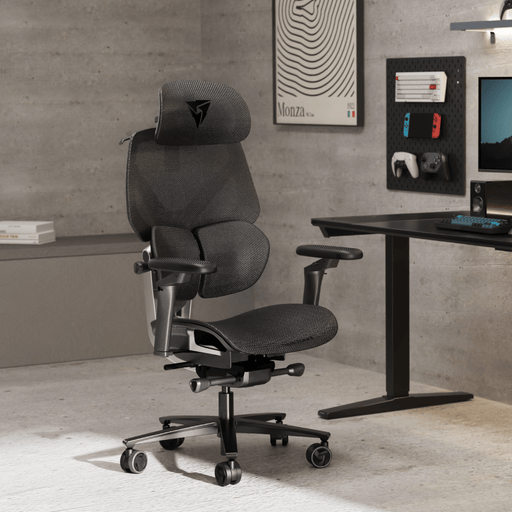 TX3 - FLEX PRO - 人體工學辦公椅 - Fin Shop Taiwan