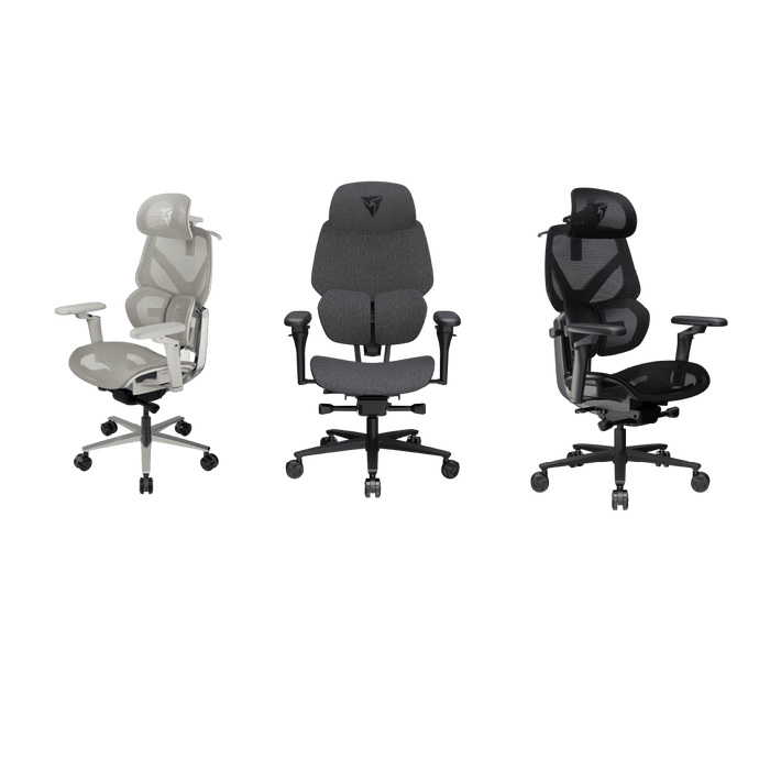 TX3 - FLEX PRO - 人體工學辦公椅 - Fin Shop Taiwan