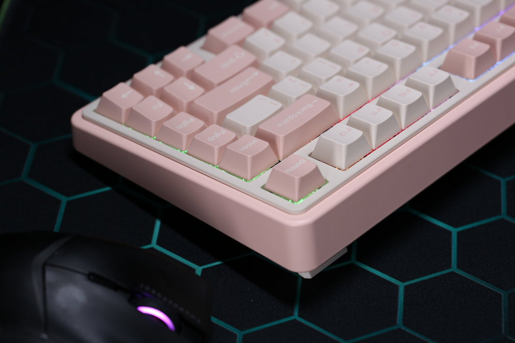 【新品上市】Varmilo Minilo75 HE 有線磁軸鍵盤 (共兩色) - Fin Shop