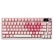 【新品上市】YUNZII B75 PRO MAX 75% 三模機械鍵盤 含TFT螢幕 (注音版本) - Fin Shop