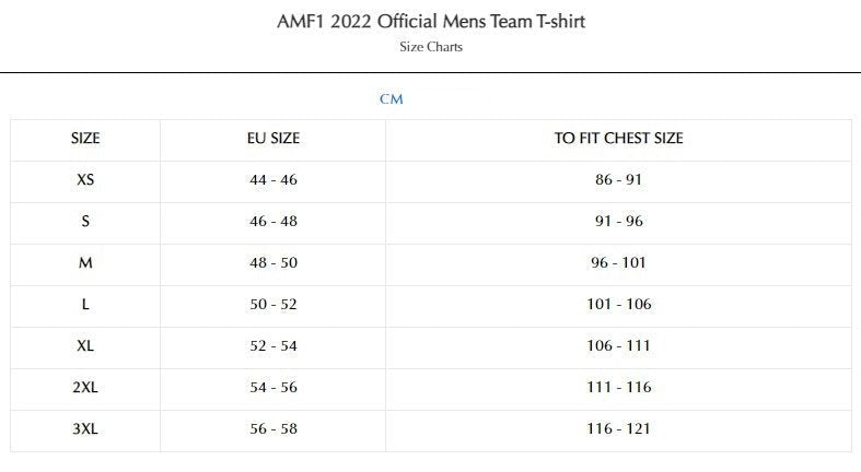 Aston Martin Cognizant F1 2022 Official Team T-shirt - Men - Tesoro Taiwan