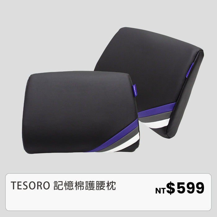 記憶綿護腰枕 - Tesoro Taiwan